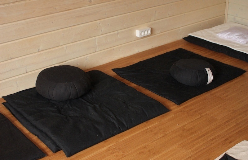 Отмены практик в Москве 22 и 26 февраля