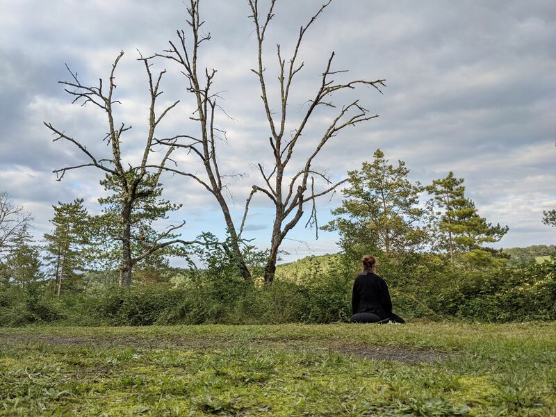 Отмена практики в Москве 9 апреля