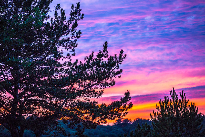 Отмена практик в Москве