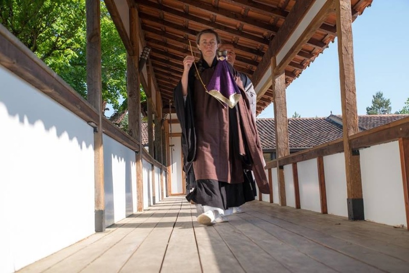 Онлайн дзадзен 4 ноября