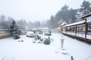 День дзен в Санкт-Петербурге 4 января