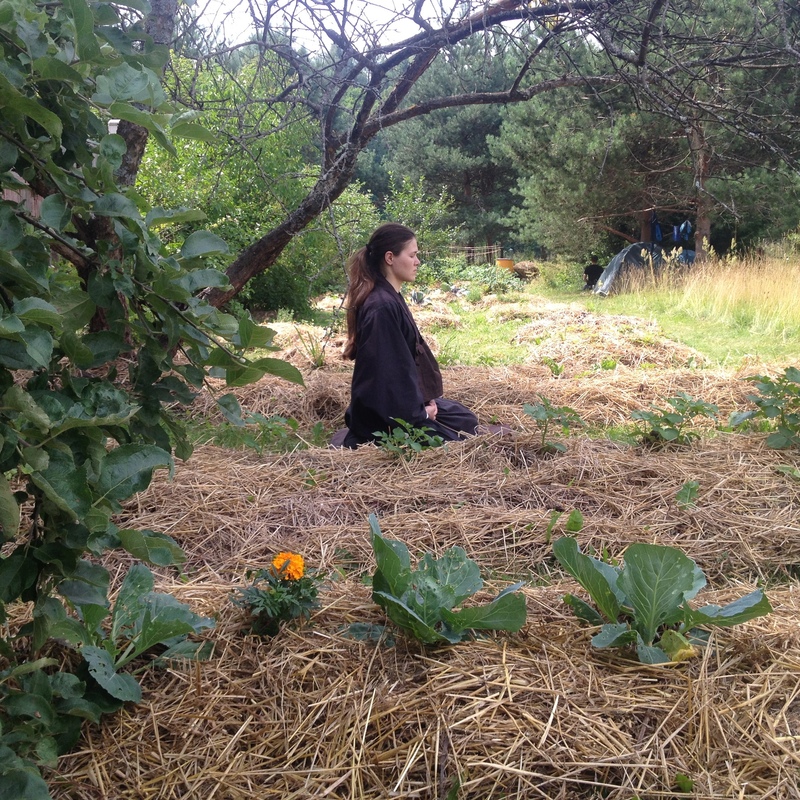 Отмена практик в Москве 30.04 и 07.05