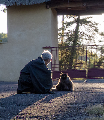 Характер Пути, гибкость, красота