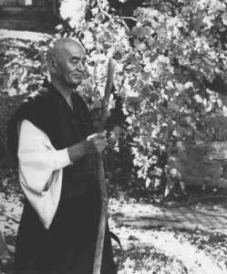 Тайсэн Дэсимару