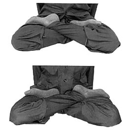 Полный лотос